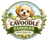 Cavoodle Puppies for Sale Australia